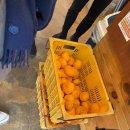 정방연로 이미지