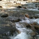 카푸치노펜션 이미지