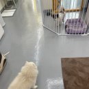 님도그냥 이미지