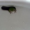 그린주유소 화장실 이미지