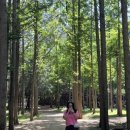 하벳(HAVET) 이미지