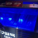 [인천] 구월동맛집 구일육 구세트후기