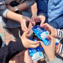 5월달은 온통 장미야~