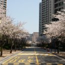 연일공인중개사사무소 이미지