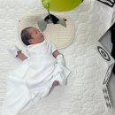 대도체육관 | 뭘로 놀아줘야 할지 고민하던 초산맘의 1~4개월 아기 장난감 추천 &amp; 국민템 후기