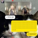 안백수 | 눈을 감았다 뜨니 사라져 버린 11월