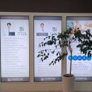 김포튼튼척의원 이미지