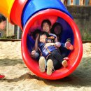 현성초등학교 이미지