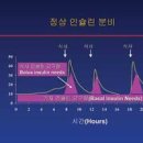 식후혈당 정상수치 당뇨병 당뇨 맞춤 닥다몰 브이디엑스 이미지