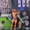 올데이PT 이미지