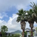 세평삼거리 | 여름방학 : 제주도2, 협재