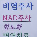참좋은의원.화정초등 | NAD 주사 비용 재방문 화정 암환자 면역수액 재방문 후기