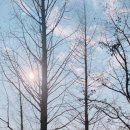 달보드레하다 이미지