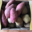 리빙인싸 이미지