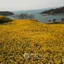 여수길 연합뉴스