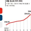 왜 ai거품이 터져야 하는가?? 이미지