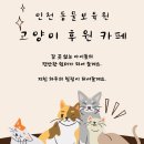 동물보육원 고양이 후원 카페 이미지