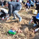 하점초교 이미지