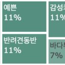 울진카인테리어 이미지