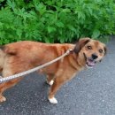 수산리-12 이미지