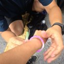 서대문영양족발 | 비 오는 날 인왕산 산행 후기 – 야경, 범바위 코스, 경복궁역 출발 완벽 정리