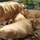 늘찬농장 이미지