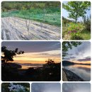 둔덕농장2 이미지