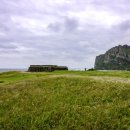 오조리-5 이미지