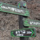 피재골약수터 이미지