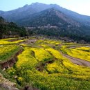 창호축산 | 경남 남해군 농촌 한달살기 체험기, 바닷바람 부는 시골에서 한 달을 살아보니, ‘정착’이 현실로...