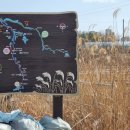 성환천 억새길 이미지