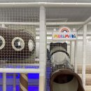 과천-과천-과천13호 이미지