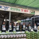 매실향기 이미지