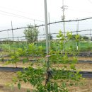 고리봉농장 이미지