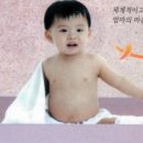 금줄베이비시터코리아 이미지