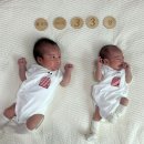 조이천사 | 쌍둥이 유모차 스냅앤고 더블 조이 페도라 바구니 카시트 호환 후기