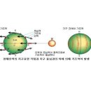조석인력 이미지