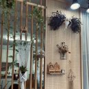 블루밍애드 이미지