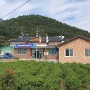 은천마을회관 이미지