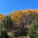 스탈릿캠핑펜션 이미지