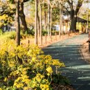 광주공원 현충탑 옆 이미지