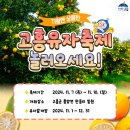 유자 이미지