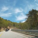 더덜하우스 이미지