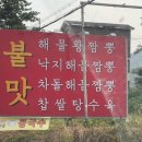 쭈홍