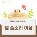 아우름 동물병원 | 뱀 숨소리가 이상해요, 감기인가요? [아우름동물병원]