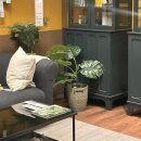 가용농장 | 2026-2월기록: 제일 좋아하는 2월 보내기