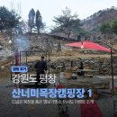 푸른산i어린이집 | 평창 산너미목장 캠핑장 소개 I 드넓은 흑염소 목장을 품은 별보기 명소 I '아사도' 이벤트
