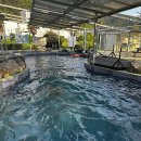 라별풀빌라 남해펜션 이미지