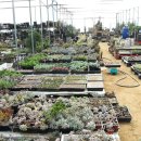 오현농장 이미지