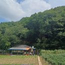 샛골농장 이미지